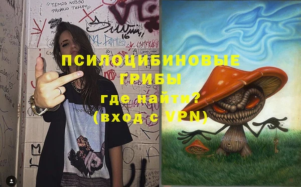 PSILOCYBIN Балахна