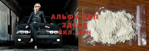 стаф Баксан