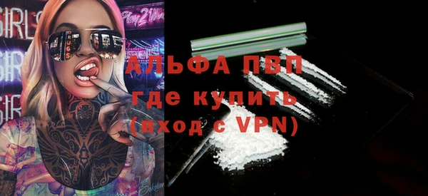 стаф Баксан