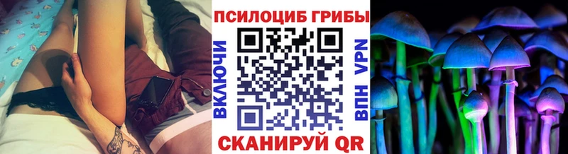 kraken онион  Старица  Галлюциногенные грибы Cubensis  даркнет сайт 